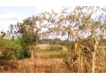 1500-sq-mt-of-land-for-sale-small-2