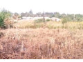 1500-sq-mt-of-land-for-sale-small-1
