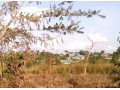 1500-sq-mt-of-land-for-sale-small-0