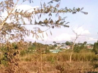 1500-sq-mt-of-land-for-sale