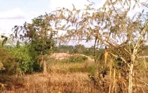 1500-sq-mt-of-land-for-sale-big-2