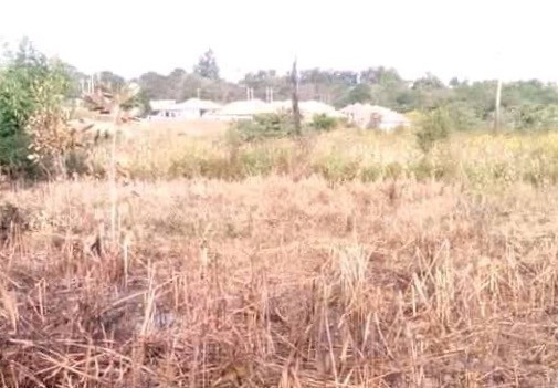 1500-sq-mt-of-land-for-sale-big-1