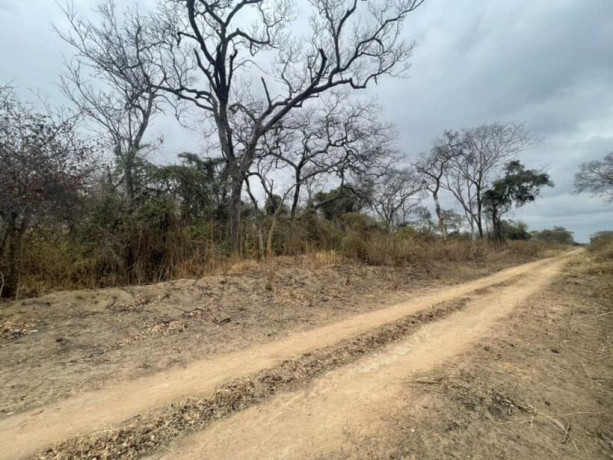 5-acre-plot-for-sale-in-meanwood-ndeke-big-4