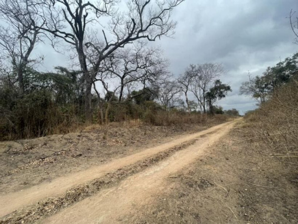 5-acre-plot-for-sale-in-meanwood-ndeke-big-2