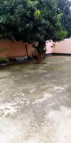 1-bedroom-flat-for-rent-in-avondale-big-5