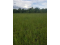 30-hectares-land-for-sale-in-chibombo-small-4
