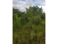 30-hectares-land-for-sale-in-chibombo-small-1