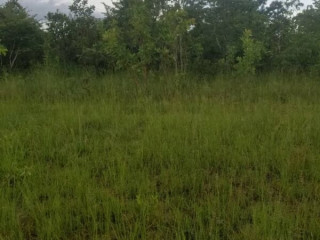 30-hectares-land-for-sale-in-chibombo