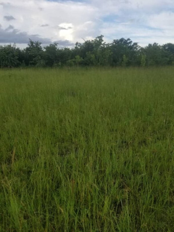 30-hectares-land-for-sale-in-chibombo-big-4