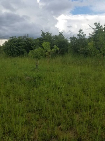 30-hectares-land-for-sale-in-chibombo-big-2