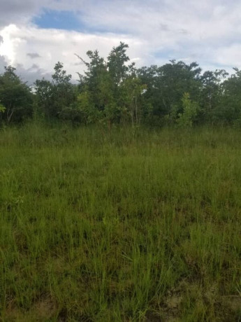 30-hectares-land-for-sale-in-chibombo-big-0