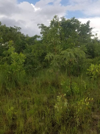 30-hectares-land-for-sale-in-chibombo-big-1