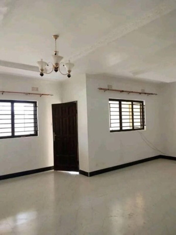 1-bedroom-flat-for-rent-in-chilanga-big-6