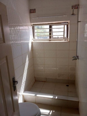 2-bedroom-flat-for-rent-in-libala-south-big-6