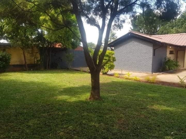 3-bedroom-house-for-rent-in-avondale-big-5