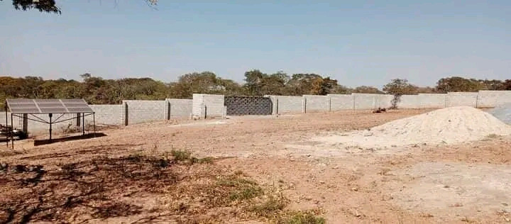 50m-by-50m-plot-for-sale-in-new-kasama-big-0
