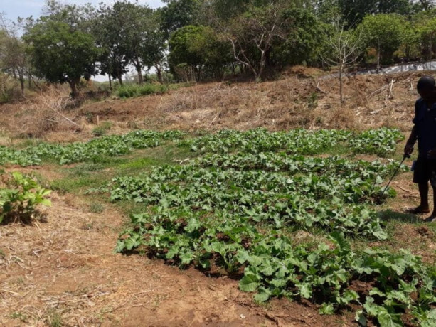 land-for-sale-in-chilanga-big-4