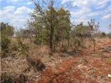 25-acres-land-for-sale-in-chongwe-big-2