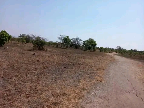 25-acres-land-for-sale-in-chongwe-big-1