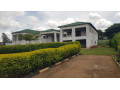 property-for-sale-in-lilayi-small-4