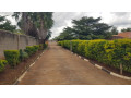property-for-sale-in-lilayi-small-5