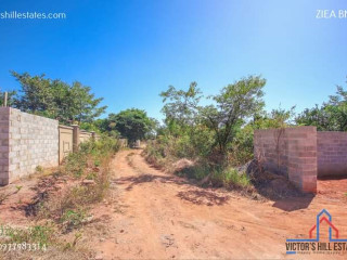 60m-by-40m-plot-for-sale-in-woodlands