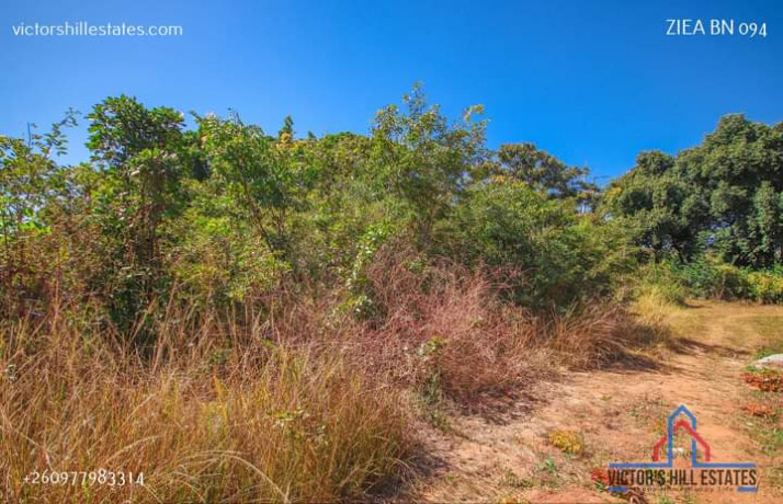 60m-by-40m-plot-for-sale-in-woodlands-big-2