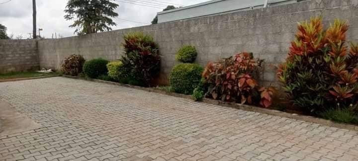 3-bedroom-house-for-rent-in-chamba-valley-big-0