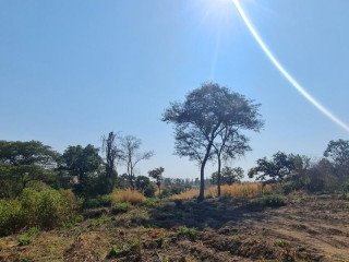 subdivided-plots-for-sale-in-state-lodge