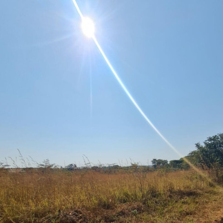 subdivided-plots-for-sale-in-state-lodge-big-1