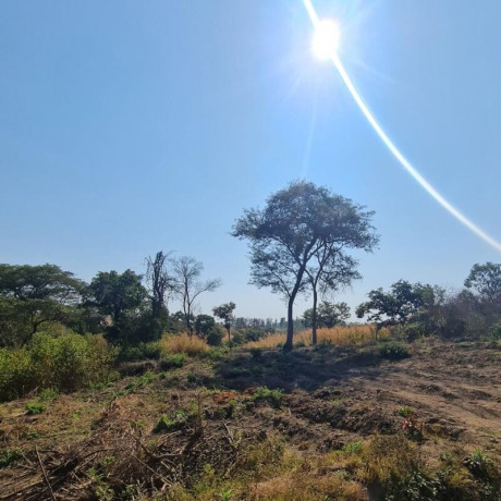 subdivided-plots-for-sale-in-state-lodge-big-0