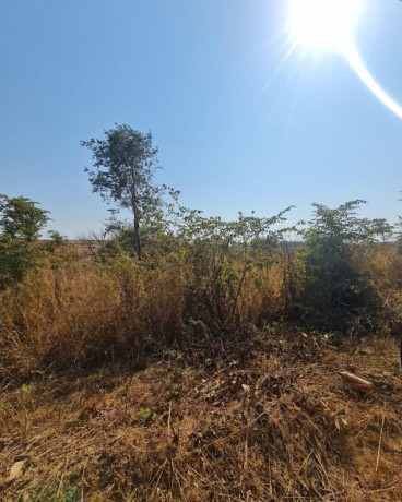 subdivided-plots-for-sale-in-state-lodge-big-2