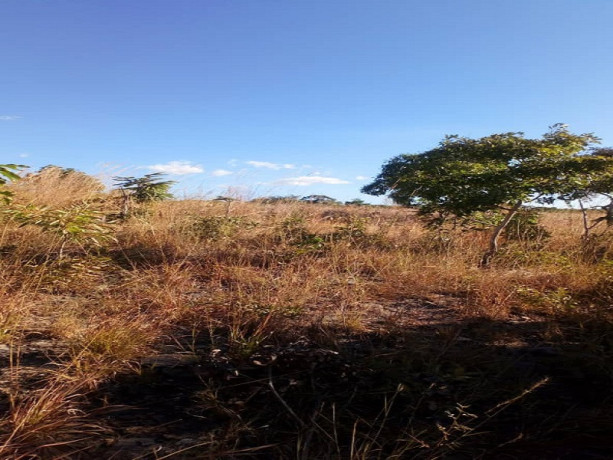 10-acres-land-for-sale-in-new-kasama-big-1