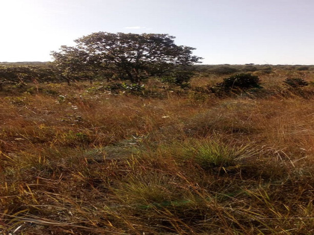 10-acres-land-for-sale-in-new-kasama-big-3