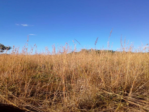 10-acres-land-for-sale-in-new-kasama-big-4