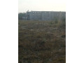 plots-for-sale-in-silverest-small-9