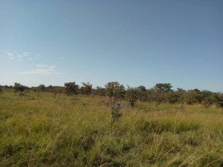 35m-by-20m-plot-for-sale-in-silverest