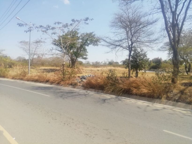 land-for-sale-in-state-lodge-big-1