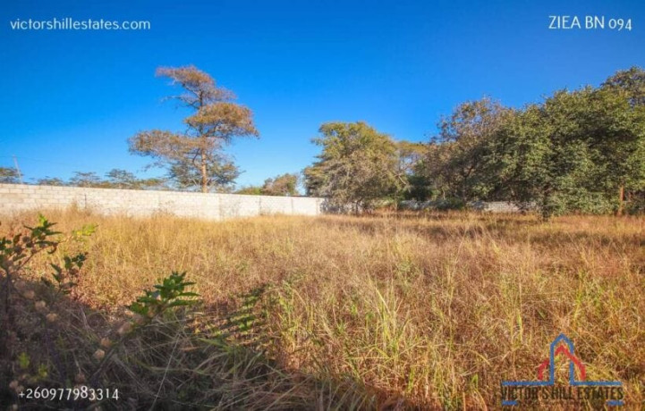 66m-by-46m-plot-for-sale-in-state-lodge-big-3