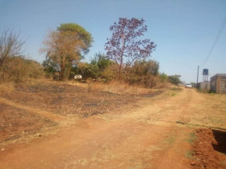 land-for-sale-in-ibex-hill