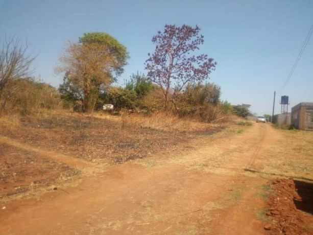 land-for-sale-in-ibex-hill-big-0