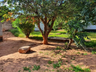 3-bedroom-house-for-sale-in-old-avondale