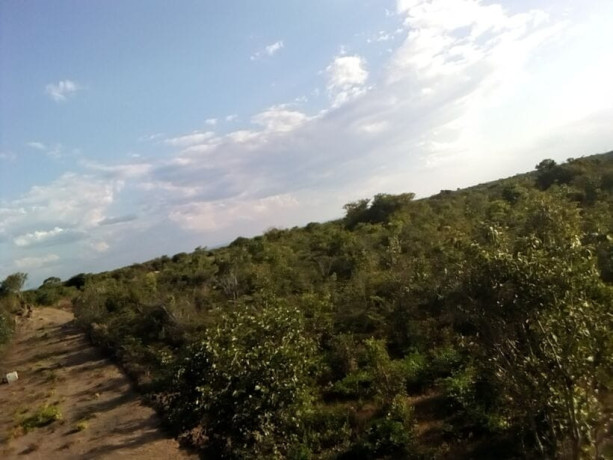 17-acres-land-for-sale-in-kanakantapa-big-3