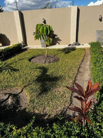 2-bedroom-flat-for-rent-in-lilayi-estate-big-2