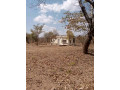 20-hectares-land-for-sale-in-chongwe-small-7