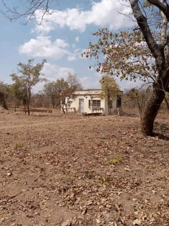 20-hectares-land-for-sale-in-chongwe-big-7