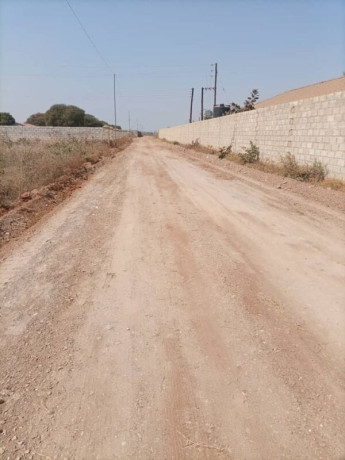 50m-by-40m-plot-for-sale-in-makeni-bonaventure-big-4