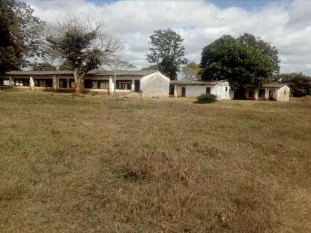 massive-20-acre-land-in-new-kasama-big-8