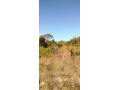 10-acres-land-for-sale-in-mikango-small-5
