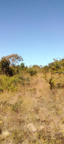 10-acres-land-for-sale-in-mikango-big-5